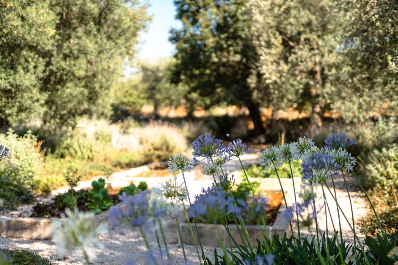 Trulli Ad Maiora Villa Alberobello Eksteriør billede