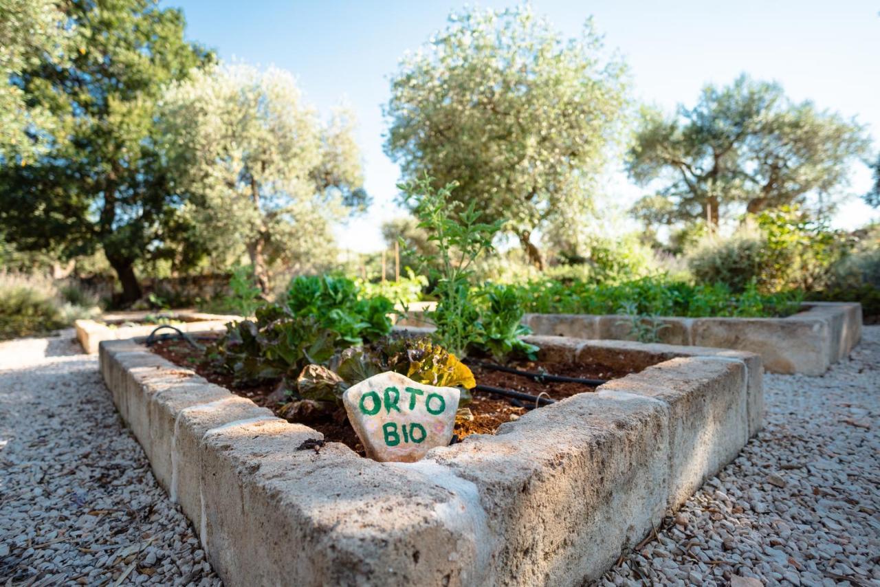 Trulli Ad Maiora Villa Alberobello Eksteriør billede