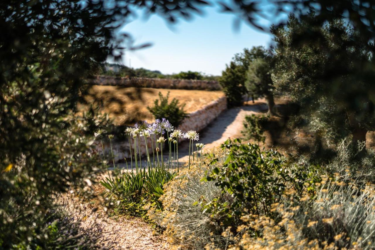 Trulli Ad Maiora Villa Alberobello Eksteriør billede