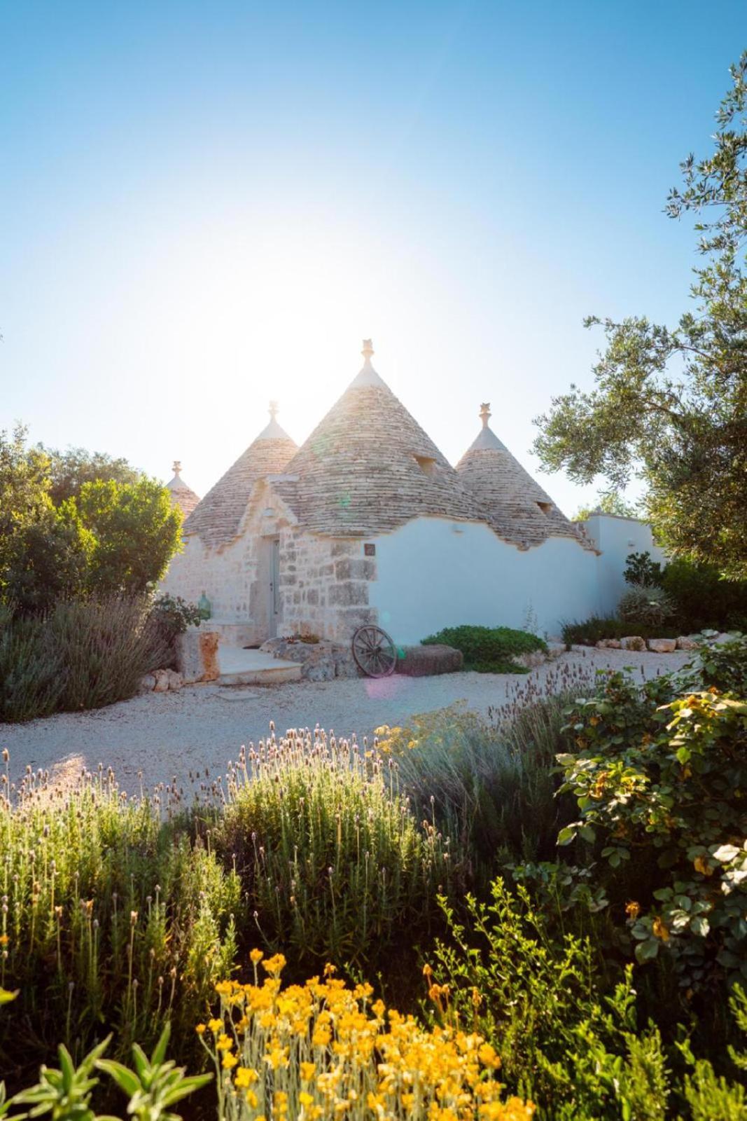 Trulli Ad Maiora Villa Alberobello Eksteriør billede